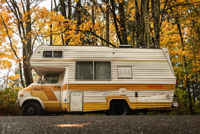Rond de wereld op vier wielen: herontdek kamperen met campers, uitrusting, bestemmingen, duurzaamheid en culinaire avonturen